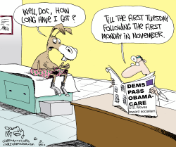 OBAMACARE PASSES by Gary McCoy