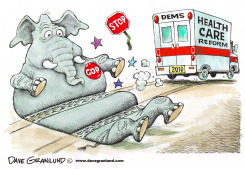 HEALTH CARE BILL PASSES by Dave Granlund