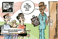 HEALTHCARE REFORM PASSES by David Fitzsimmons