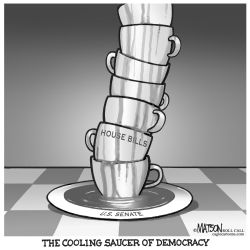 THE COOLING SAUCER OF DEMOCRACY by RJ Matson