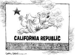 MARIJUANA REFERENDUM IN CALIFORNIA  by Daryl Cagle