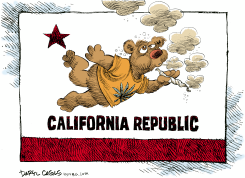 MARIJUANA REFERENDUM IN CALIFORNIA   by Daryl Cagle