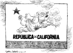 MARIHUANA EN CALIFORNIA by Daryl Cagle