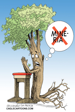 ARBOL EN PLENA ORACIóN COL by Arcadio Esquivel