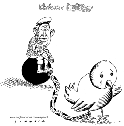 CHAVEZ TWITTER by Osmani Simanca