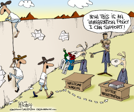 DEMS IMMIGRATION by Gary McCoy