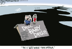 BP KATRINA by Pat Bagley