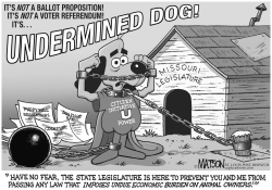 LOCAL MO-UNDERMINED DOG by RJ Matson