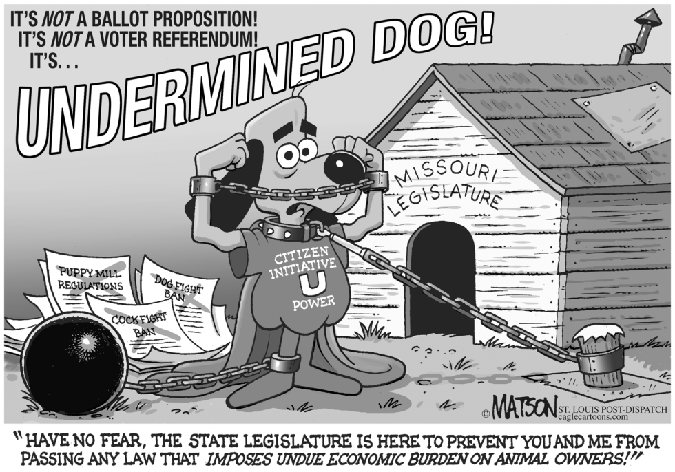  LOCAL MO-UNDERMINED DOG by RJ Matson