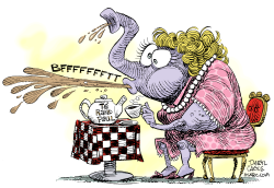 TE RAND PAUL  by Daryl Cagle