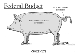 FEDERAL BUDGET CHOICE CUTS by RJ Matson