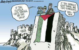 FLOTILLA STOPPED BY ISRAELIS by Mike Keefe