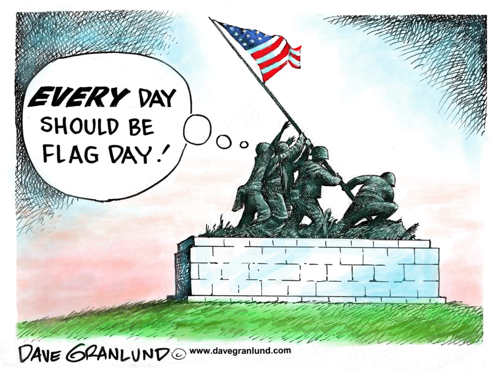  FLAG DAY by Dave Granlund