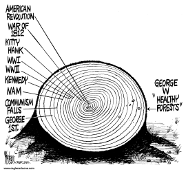 BUSH FOREST POLICY STUMP by Mike Lane