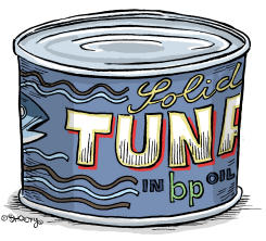 TUNA IN BP OIL  by Martin Sutovec