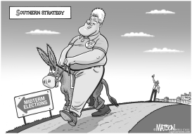 SOUTHERN STRATEGY by RJ Matson