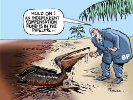 OIL SPILL COMPENSATION by Paresh Nath