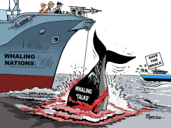 KILLING WHALES by Paresh Nath