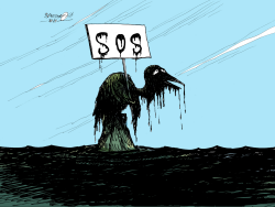 SOS FROM GULF by Petar Pismestrovic