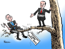 TURKEY-ISRAEL LINK by Paresh Nath