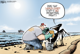 PELICAN DISGUST by Nate Beeler