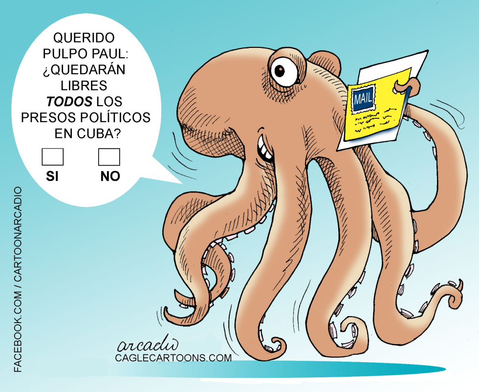  PULPO PAUL PREDICE NUEVO COL by Arcadio Esquivel