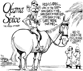 OBAMA SPICE by John Darkow