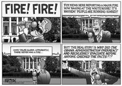 FOX NEWS REPORTS THE REAL STORY by RJ Matson