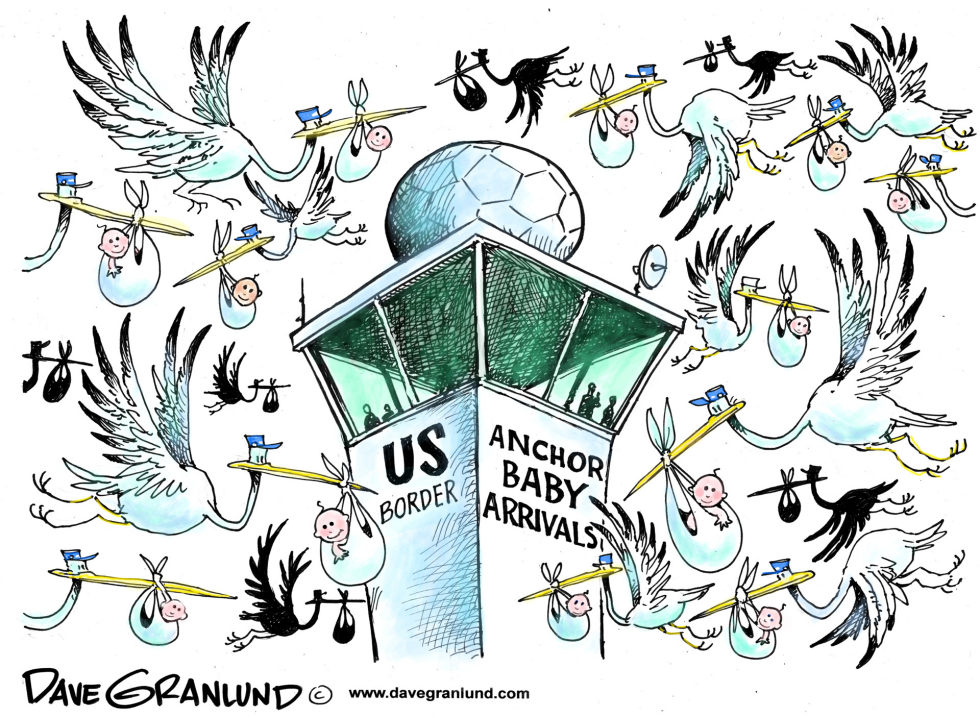  ANCHOR BABIES AND US CITIZENSHIP by Dave Granlund