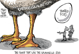 SALMONELLA OMELETTE by Pat Bagley