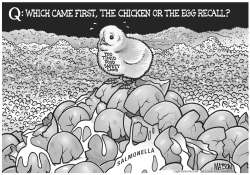 THE CHICKEN OR THE EGG RECALL by RJ Matson