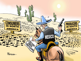 MEXICO AND DRUGS by Paresh Nath