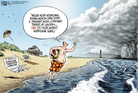 THREATENED VACATION by Nate Beeler