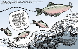 GENETICALLY MODIFIED SALMON by Mike Keefe