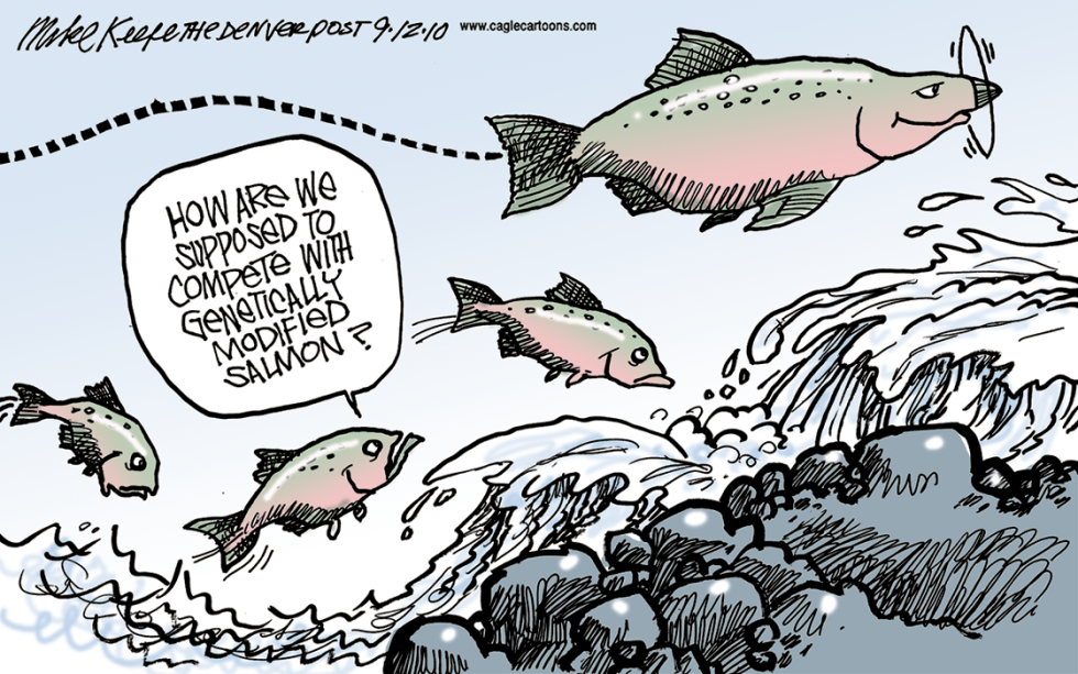  GENETICALLY MODIFIED SALMON by Mike Keefe