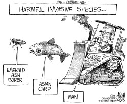 HARMFUL INVASIVE SPECIES by Adam Zyglis