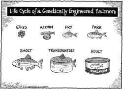 GENETICALLY ENGINEERED SALMON by Bob Englehart