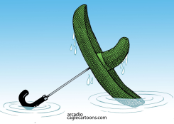 MEXICO BAJO LLUVIAS INTENSASCOL by Arcadio Esquivel