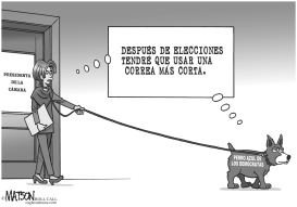 CORREA DEL PERRO AZUL by RJ Matson