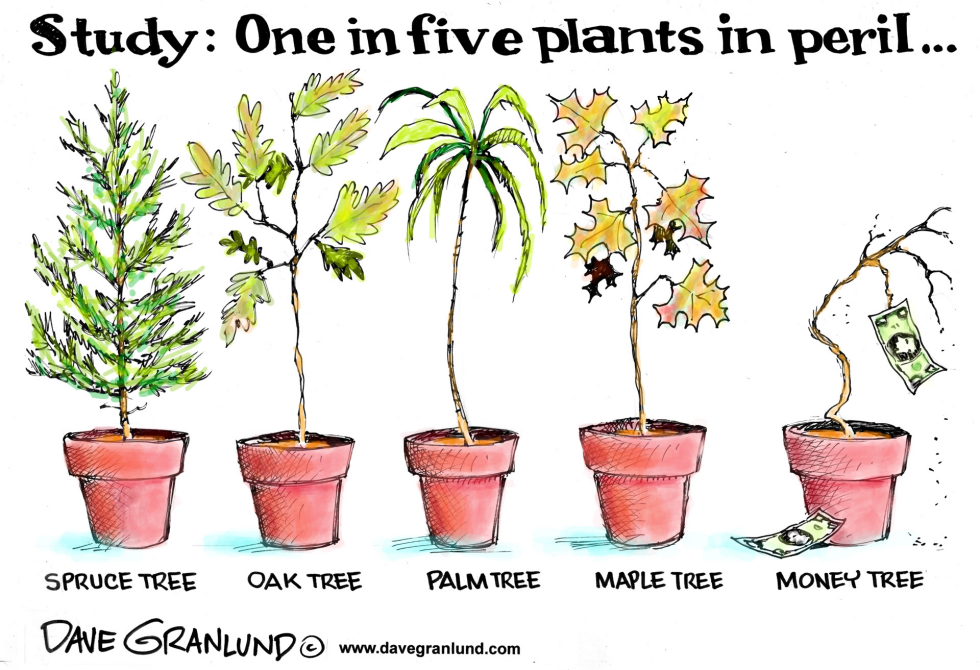  PLANTS IN PERIL by Dave Granlund