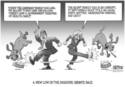 MISSOURI SENATE RACE GETS UGLY by RJ Matson