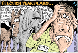 ELECTION YEAR BLAHS by Wolverton