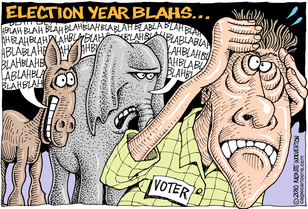  ELECTION YEAR BLAHS by Wolverton