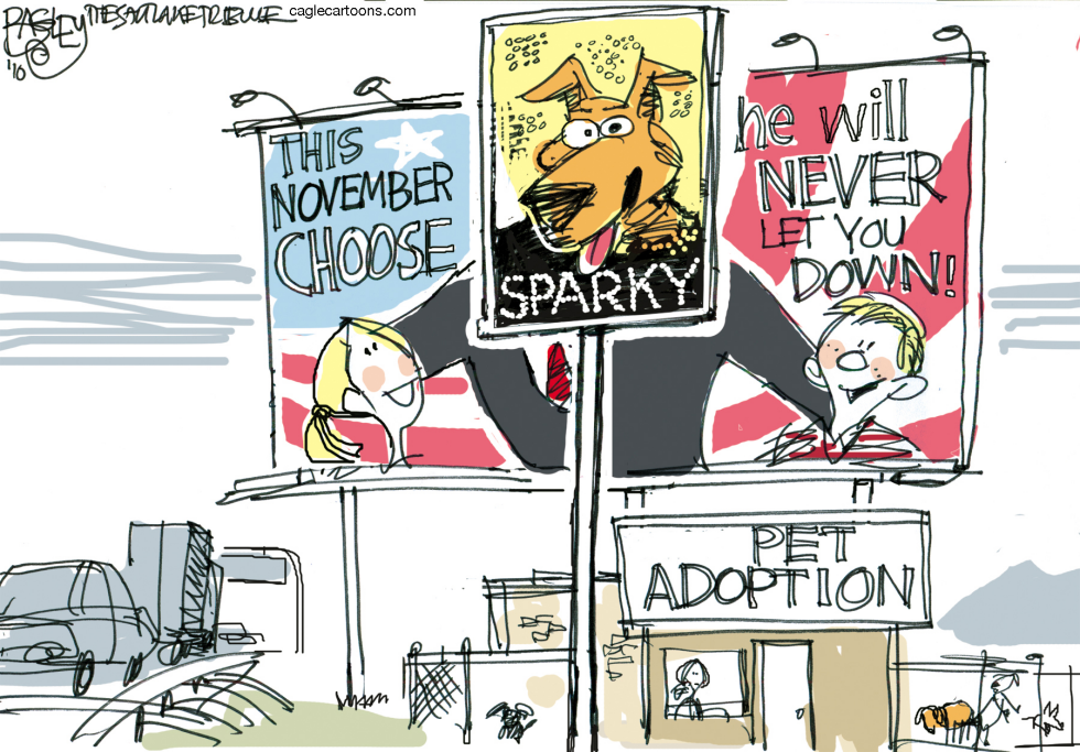  PERFECT CANDIDATE by Pat Bagley