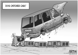 DOG CATCHES CAR by RJ Matson