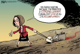 NANCY PELOSI LEADS by Nate Beeler