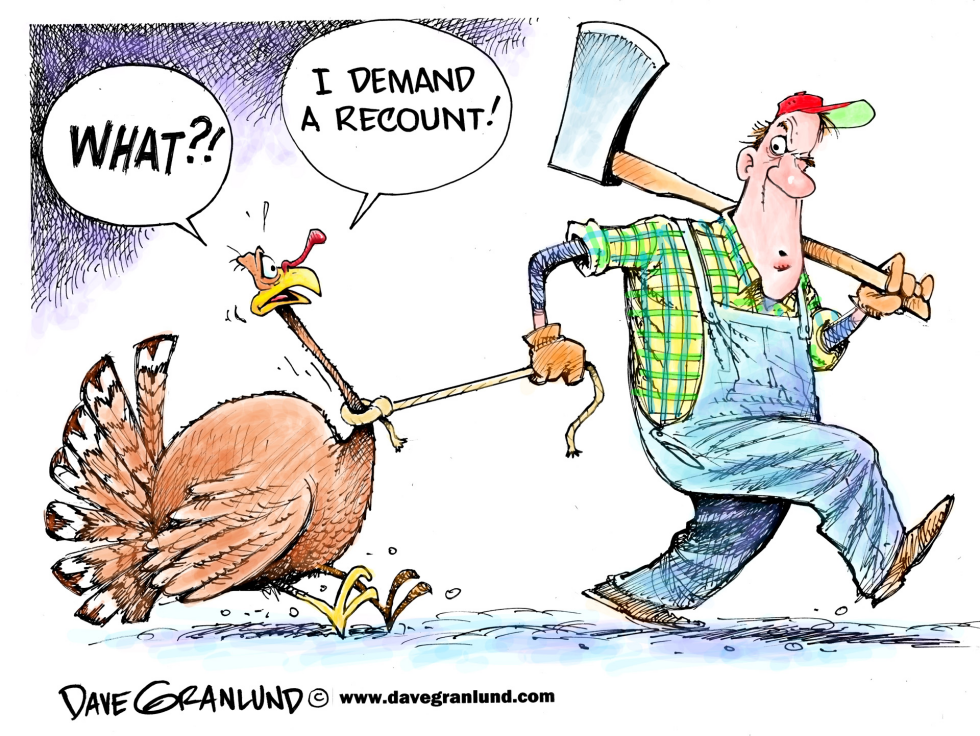  THANKSGIVING TURKEYS AND RECOUNTS by Dave Granlund