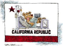 CALIFORNIA IS SICK  by Daryl Cagle