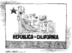 CALIFORNIA ESTA ENFERMA by Daryl Cagle