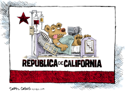 CALIFORNIA ESTA ENFERMA  by Daryl Cagle